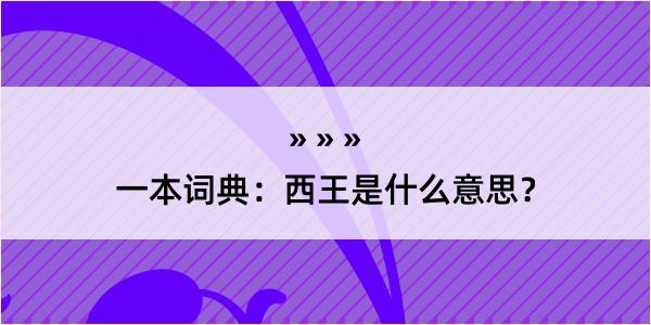 一本词典：西王是什么意思？