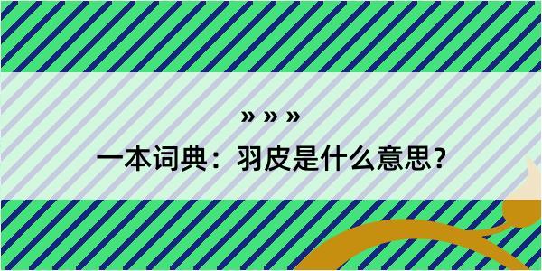 一本词典：羽皮是什么意思？