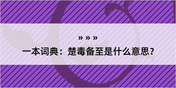 一本词典：楚毒备至是什么意思？