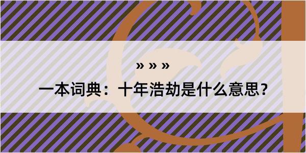 一本词典：十年浩劫是什么意思？