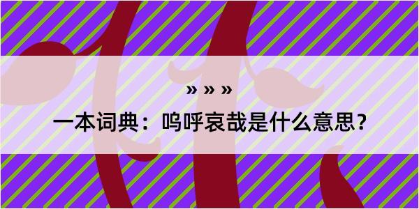 一本词典：呜呼哀哉是什么意思？