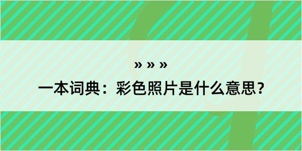 一本词典：彩色照片是什么意思？