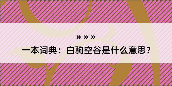 一本词典：白驹空谷是什么意思？