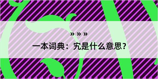 一本词典：宄是什么意思？