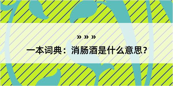 一本词典：消肠酒是什么意思？