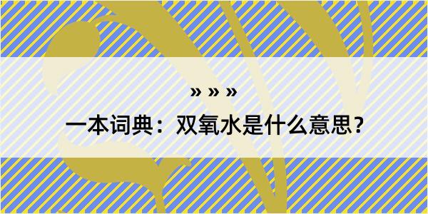 一本词典：双氧水是什么意思？