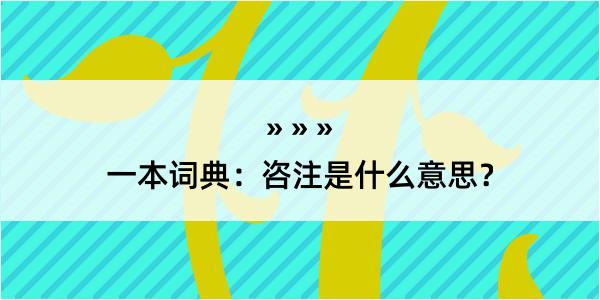 一本词典：咨注是什么意思？