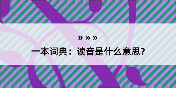 一本词典：读音是什么意思？