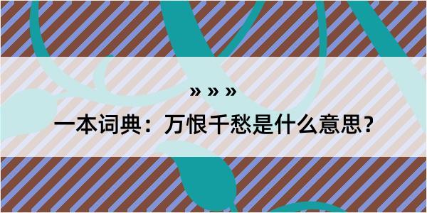 一本词典：万恨千愁是什么意思？