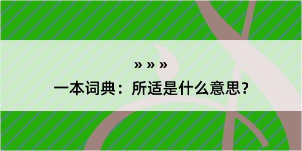 一本词典：所适是什么意思？