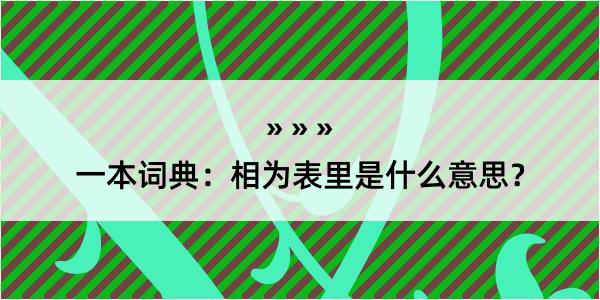 一本词典：相为表里是什么意思？