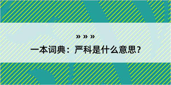 一本词典：严科是什么意思？