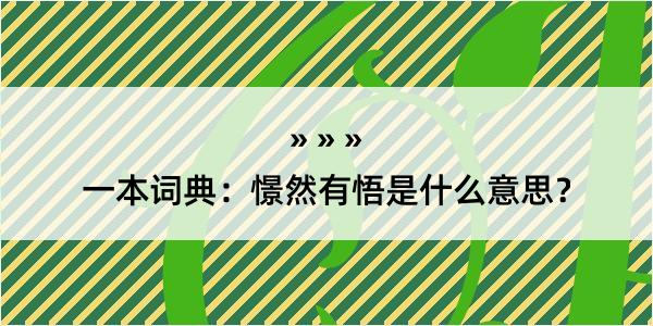 一本词典：憬然有悟是什么意思？