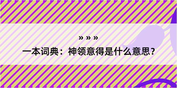 一本词典：神领意得是什么意思？