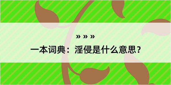 一本词典：淫侵是什么意思？