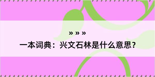 一本词典：兴文石林是什么意思？