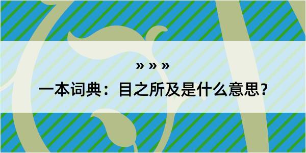 一本词典：目之所及是什么意思？