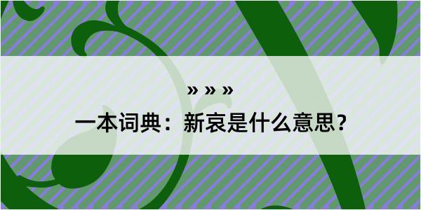 一本词典：新哀是什么意思？