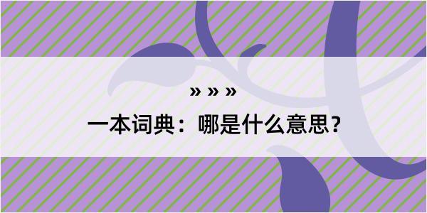 一本词典：哪是什么意思？