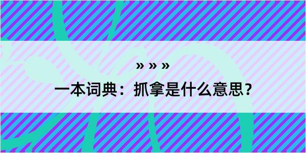 一本词典：抓拿是什么意思？