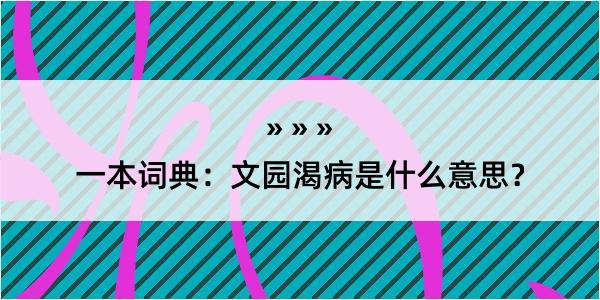 一本词典：文园渴病是什么意思？