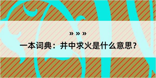 一本词典：井中求火是什么意思？