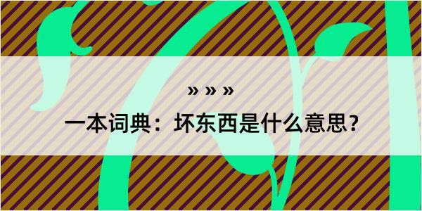 一本词典：坏东西是什么意思？