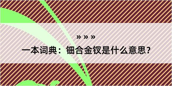 一本词典：钿合金钗是什么意思？