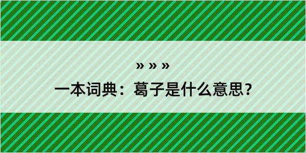 一本词典：葛子是什么意思？