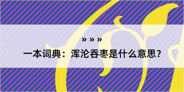 一本词典：浑沦吞枣是什么意思？