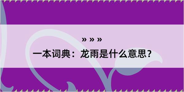 一本词典：龙雨是什么意思？