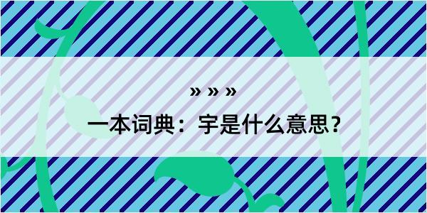 一本词典：宇是什么意思？