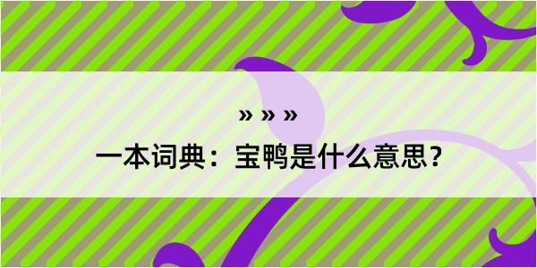 一本词典：宝鸭是什么意思？