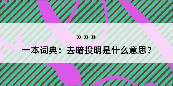 一本词典：去暗投明是什么意思？