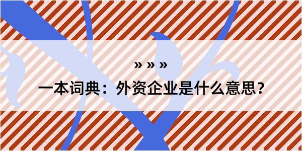 一本词典：外资企业是什么意思？