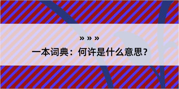 一本词典：何许是什么意思？