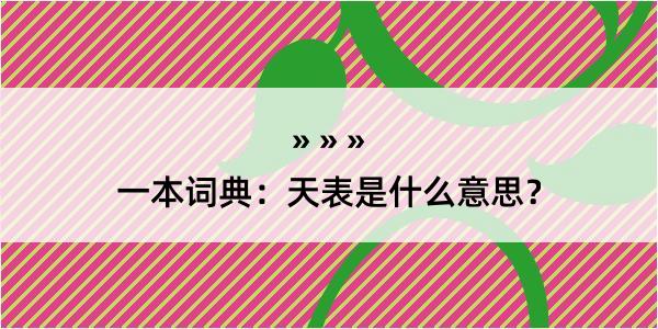 一本词典：天表是什么意思？