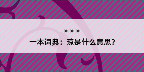 一本词典：琼是什么意思？