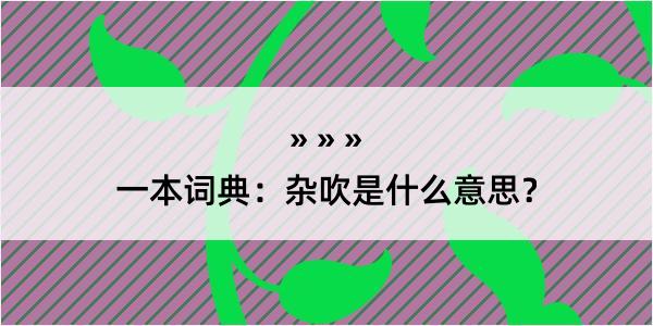 一本词典：杂吹是什么意思？