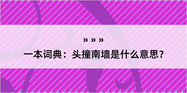 一本词典：头撞南墙是什么意思？