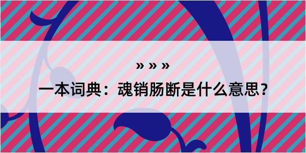 一本词典：魂销肠断是什么意思？