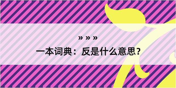 一本词典：反是什么意思？