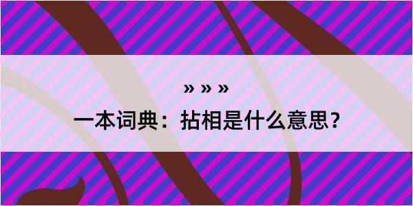 一本词典：拈相是什么意思？