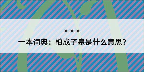 一本词典：柏成子皋是什么意思？