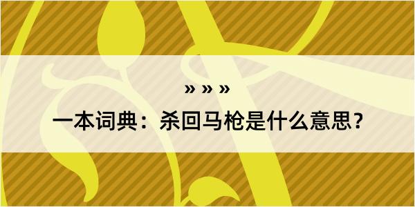 一本词典：杀回马枪是什么意思？