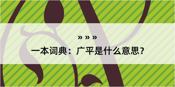 一本词典：广平是什么意思？