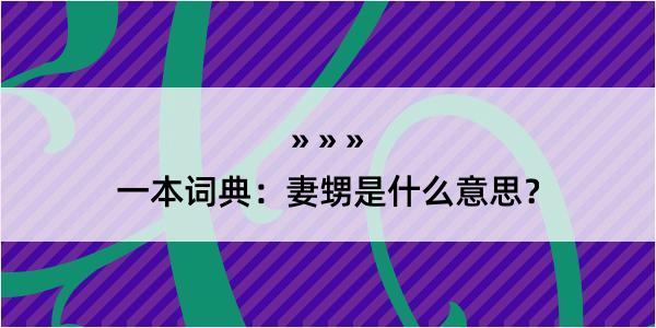 一本词典：妻甥是什么意思？