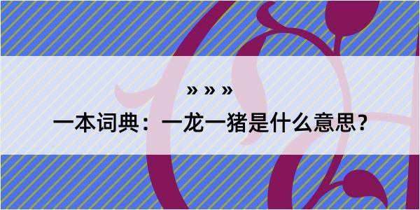 一本词典：一龙一猪是什么意思？