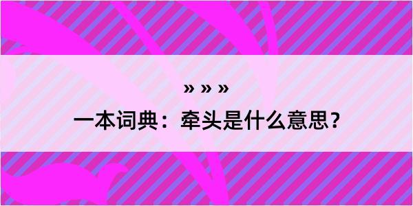 一本词典：牵头是什么意思？