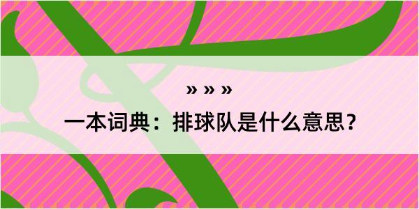 一本词典：排球队是什么意思？